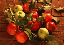 Картинка, Яблука, соковиті, листя, 2950x2094